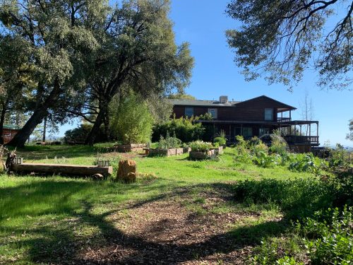 A rustic house surrounded by greenery and garden beds under a clear blue sky.