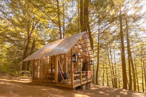 A cozy wooden cabin with a metal roof nestled among tall trees, illuminated by warm sunlight.