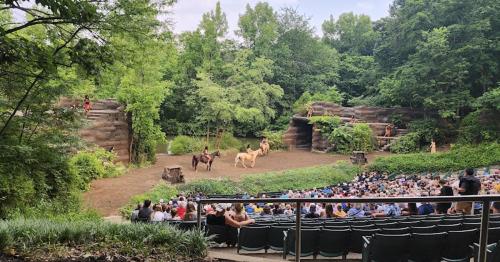 A live animal show in a natural setting, with performers and horses in front of a seated audience among greenery.