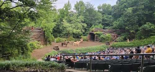 A crowd watches a live animal show in a natural amphitheater surrounded by lush greenery.