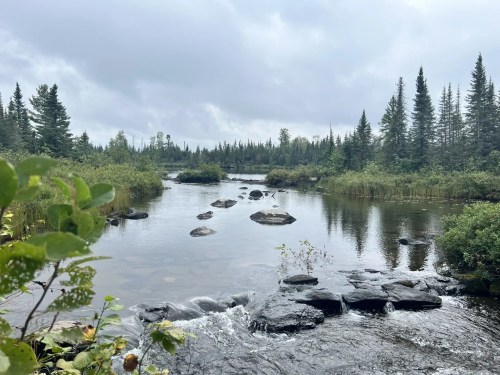 A serene river scene with smooth stones, surrounded by lush greenery and tall trees under a cloudy sky.
