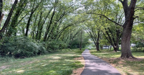 A serene pathway lined with lush trees, leading through a green park area on a sunny day.