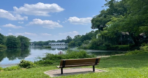 A serene lake view with a wooden bench in the foreground, surrounded by lush greenery and a clear blue sky.