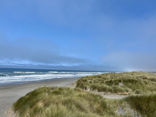 A serene beach scene with gentle waves, sandy shore, and grassy dunes under a blue sky with soft clouds.