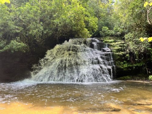 A serene waterfall cascading over rocks into a calm pool, surrounded by lush green foliage.