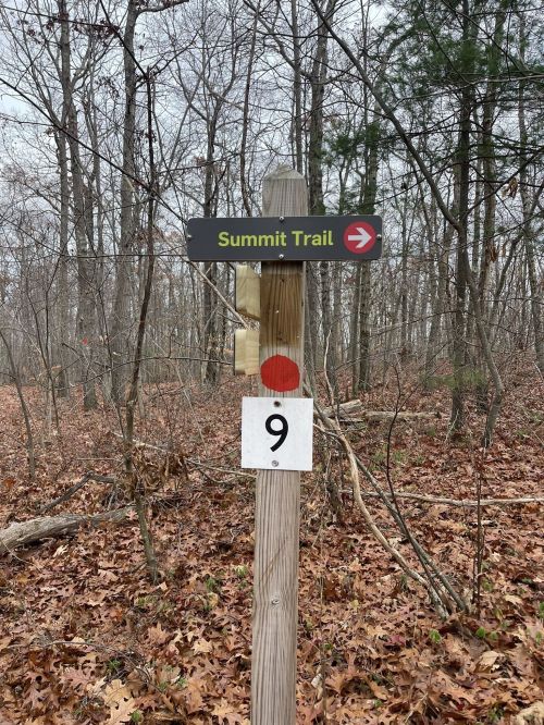Signpost for Summit Trail with a red arrow, number 9, surrounded by bare trees and fallen leaves.