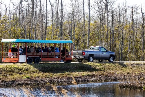 A tour tram with passengers is parked beside a pond, while a pickup truck is nearby in a wooded area.