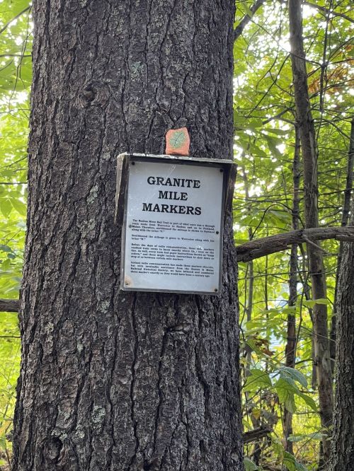 Sign on a tree reading "Granite Mile Markers," surrounded by green foliage in a wooded area.
