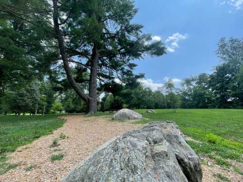 A rocky path winds through a grassy park with tall trees under a blue sky with scattered clouds.