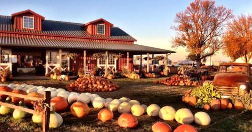 A rustic farm with a red barn, surrounded by colorful pumpkins and autumn trees under a clear sky.