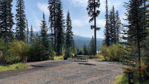A serene campsite surrounded by tall trees and mountains, featuring a picnic table on a gravel area.