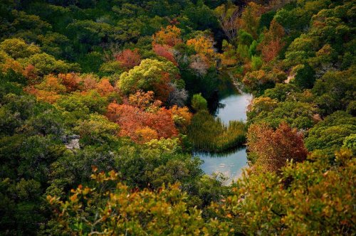 Aerial view of a vibrant forest with autumn foliage surrounding a winding river.