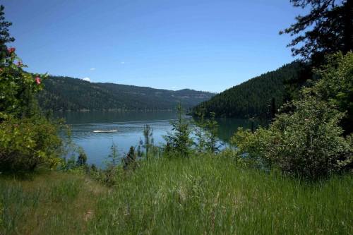 A serene lake surrounded by lush greenery and mountains under a clear blue sky.