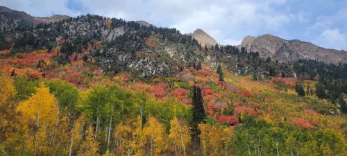 Vibrant autumn foliage covers a mountainous landscape, showcasing shades of red, orange, and yellow against rocky peaks.
