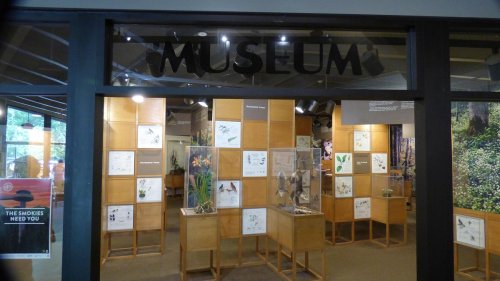 Entrance to a museum featuring displays of plants and animals, with informational panels on the walls.