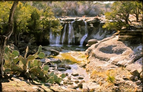 A serene waterfall cascades over rocks, surrounded by lush greenery and cacti in a tranquil natural setting.