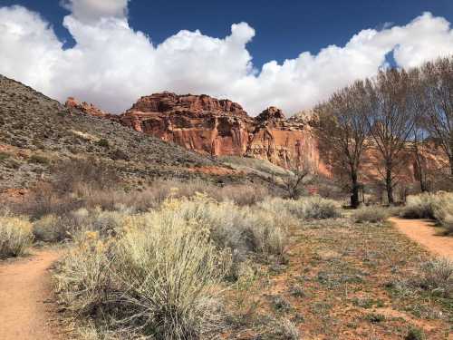 A scenic landscape featuring red rock formations, a dirt path, and sparse vegetation under a partly cloudy sky.