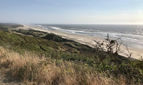 A scenic view of a sandy beach bordered by dunes and greenery under a clear sky. Waves gently crash on the shore.