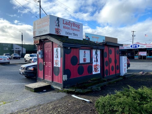 A small coffee stand with a red and black polka dot design, featuring a sign that reads "LadyBug Bikini Espresso Drive Thru."