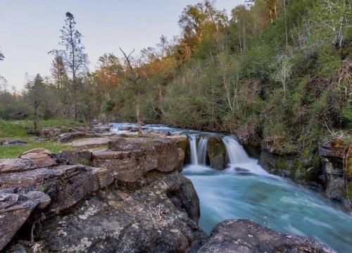 A serene river flows over rocks, surrounded by lush greenery and trees under a clear sky.