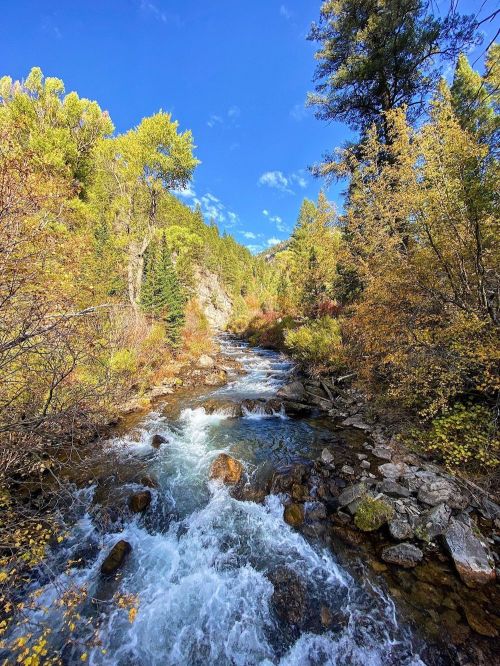 A serene river flows through a colorful forest, surrounded by trees in autumn hues under a clear blue sky.
