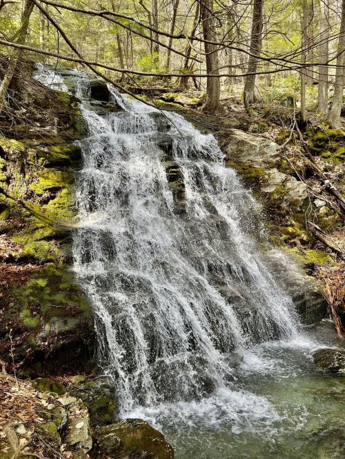 A serene waterfall cascading over rocks, surrounded by lush greenery and trees in a peaceful forest setting.