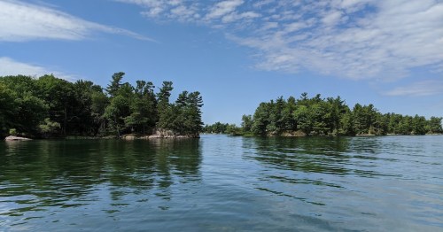 A serene lake scene with calm waters, surrounded by lush green trees and a clear blue sky.