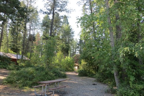 A peaceful campsite surrounded by tall trees and greenery, featuring a gravel path and a picnic table.