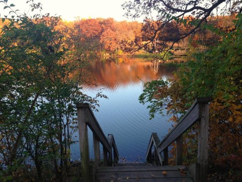 A serene view of a lake surrounded by autumn foliage, with wooden steps leading down to the water's edge.