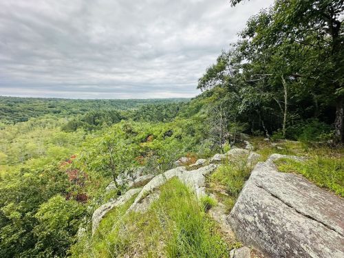 A rocky outcrop overlooks a lush green forest under a cloudy sky.
