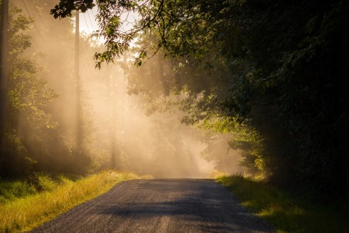 A sunlit gravel road surrounded by trees, with mist rising in the early morning light.