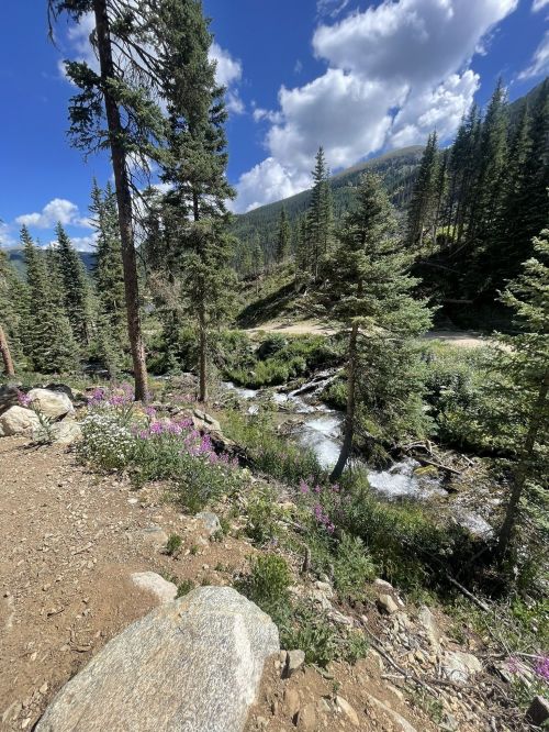 A scenic view of a stream surrounded by trees and wildflowers under a blue sky with fluffy clouds.