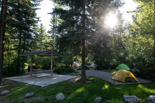 A serene campsite with tents nestled among tall trees, sunlight filtering through the foliage.