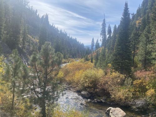 A serene river flows through a valley surrounded by tall pine trees and colorful autumn foliage under a clear sky.