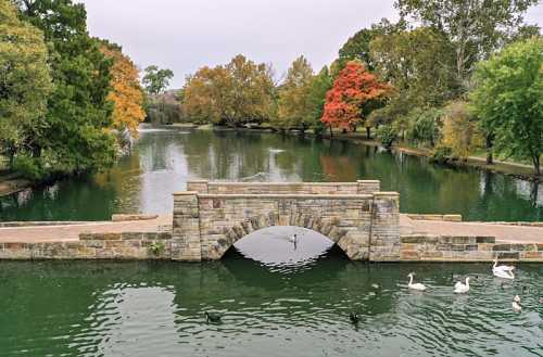 A serene park scene featuring a stone bridge over a calm pond, surrounded by colorful autumn trees and swans.