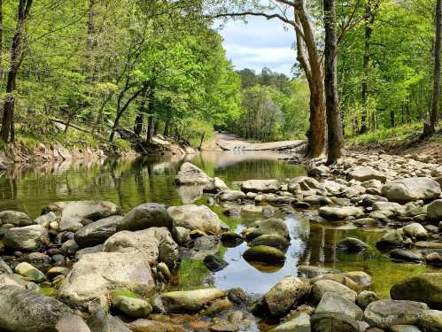 A serene river scene with smooth stones, lush green trees, and a winding road in the background under a clear sky.