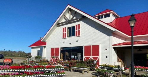 A charming white barn with a red roof, surrounded by colorful flower displays under a clear blue sky.