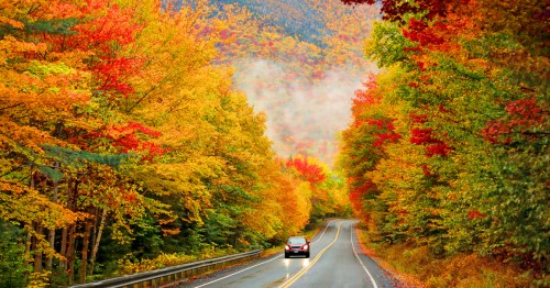 A winding road surrounded by vibrant autumn foliage in shades of red, orange, and yellow, with a car driving through.