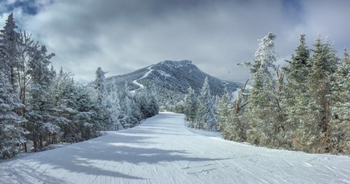 A snowy mountain landscape with a clear path leading towards a peak, surrounded by frosted trees under a cloudy sky.