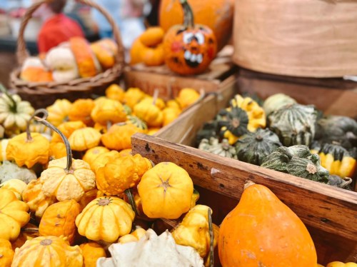 A variety of colorful pumpkins and gourds displayed in wooden baskets at a market.