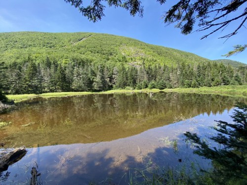 A serene pond surrounded by lush green trees and a mountain under a clear blue sky.