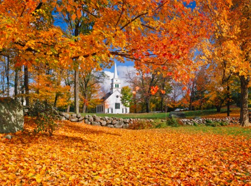 A white church surrounded by vibrant autumn foliage and a carpet of orange and yellow leaves on the ground.