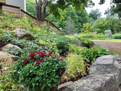 A lush garden with colorful flowers and greenery, featuring stone borders and a wooden staircase in the background.