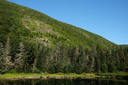 Lush green hillside with dense trees reflected in a calm pond under a clear blue sky.
