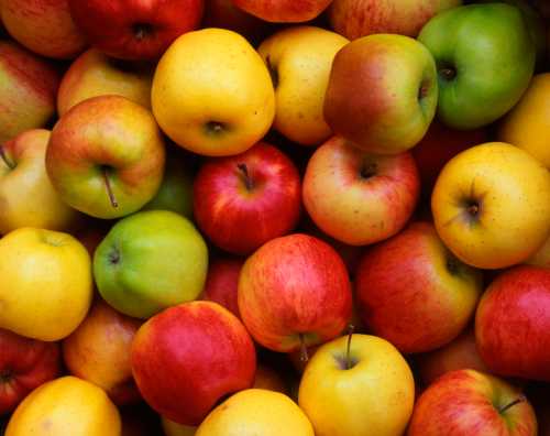 A colorful assortment of red, green, and yellow apples piled together.