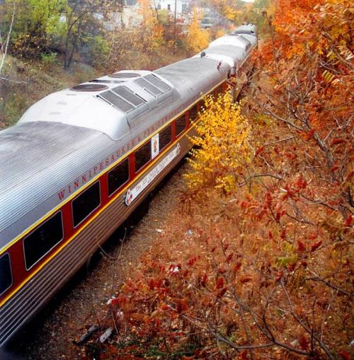 A vintage train travels through a colorful autumn landscape with trees displaying vibrant fall foliage.