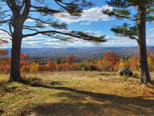 A scenic view of mountains and valleys framed by two trees, with autumn foliage and a clear blue sky.