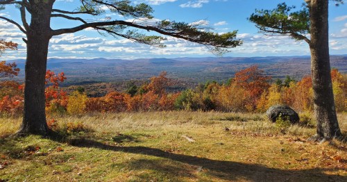 A scenic view of colorful autumn foliage and mountains under a blue sky, framed by two trees.