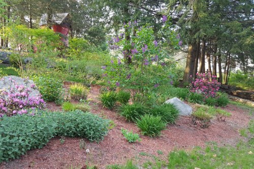 A vibrant garden with blooming flowers, green shrubs, and rocks, surrounded by trees in a serene outdoor setting.