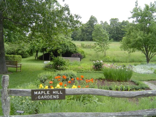 A lush garden with colorful flowers, trees, and a sign reading "Maple Hill Gardens" in a serene landscape.